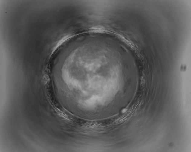 X0000100471400200806131117