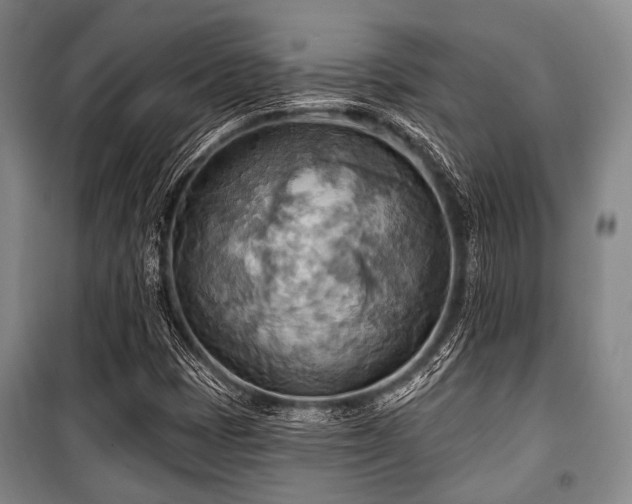 X0000100471401200806131117