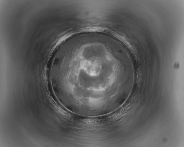 X0000100471404200806131117