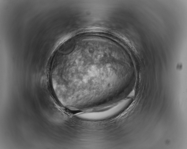 X0000100471405200806131117
