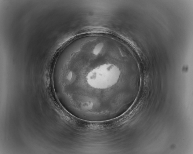 X0000100471407200806131117