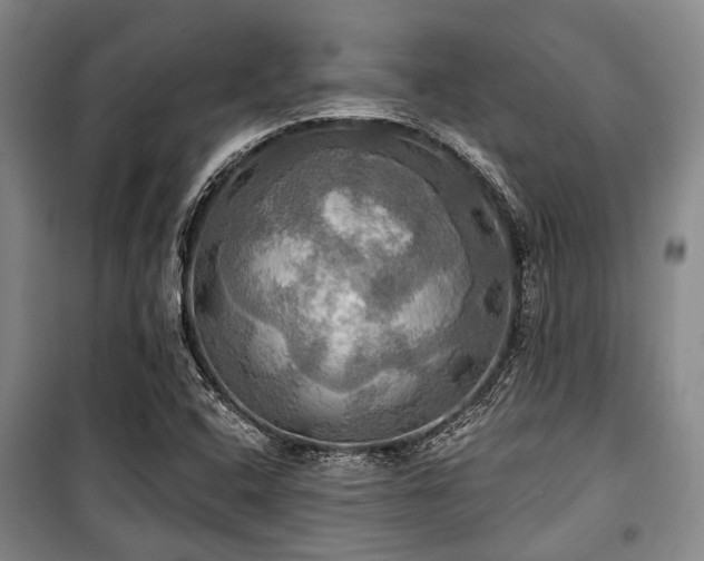 X0000100471408200806131117