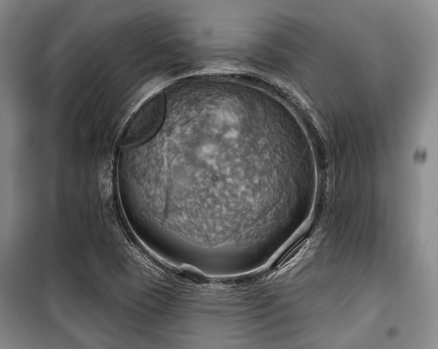 X0000100471409200806131117