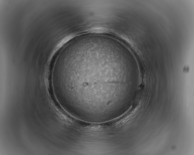 X0000100471410200806131117