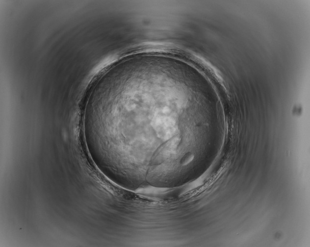 X0000100471411200806131117