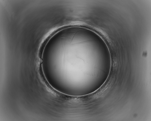 X0000100471414200806131117
