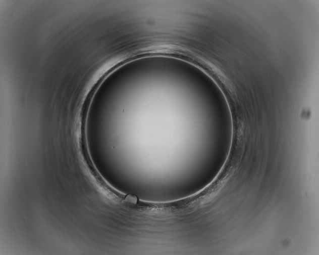 X0000100471418200806131117