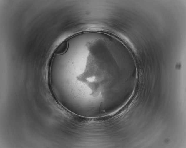 X0000100471419200806131117