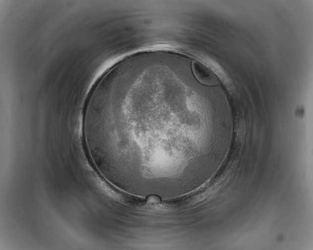 X0000100471420200806131117
