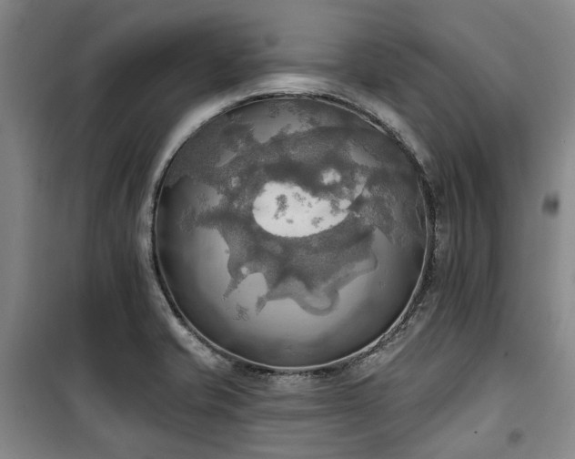 X0000100471421200806131117