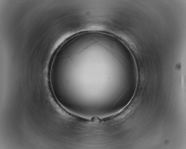 X0000100471422200806131117