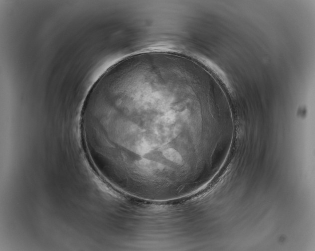 X0000100471423200806131117