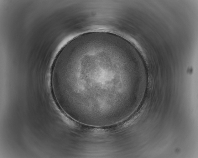 X0000100471424200806131117