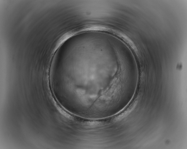 X0000100471425200806131117