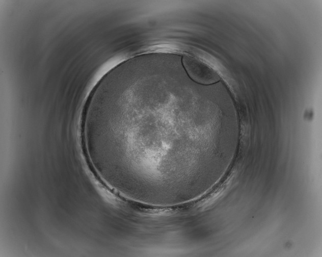 X0000100471426200806131117