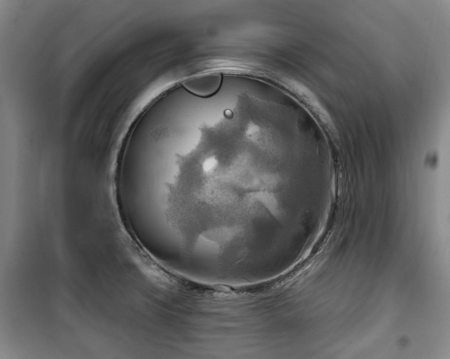 X0000100471427200806131117