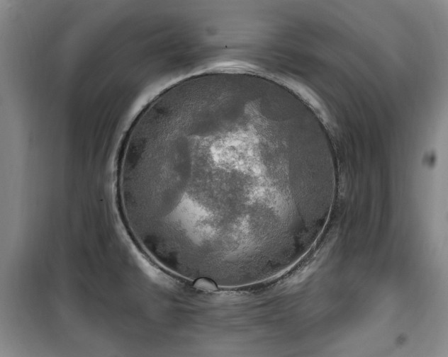 X0000100471430200806131117