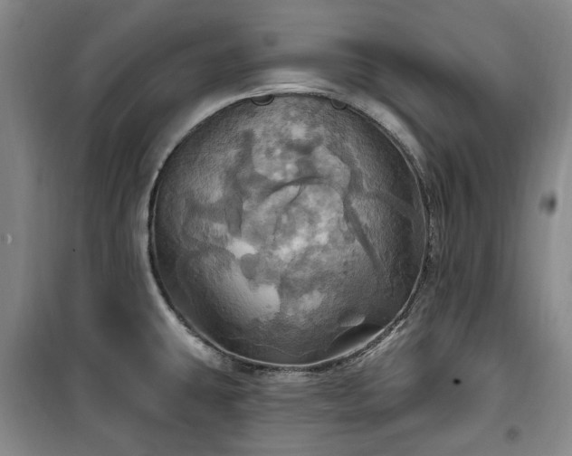 X0000100471431200806131117