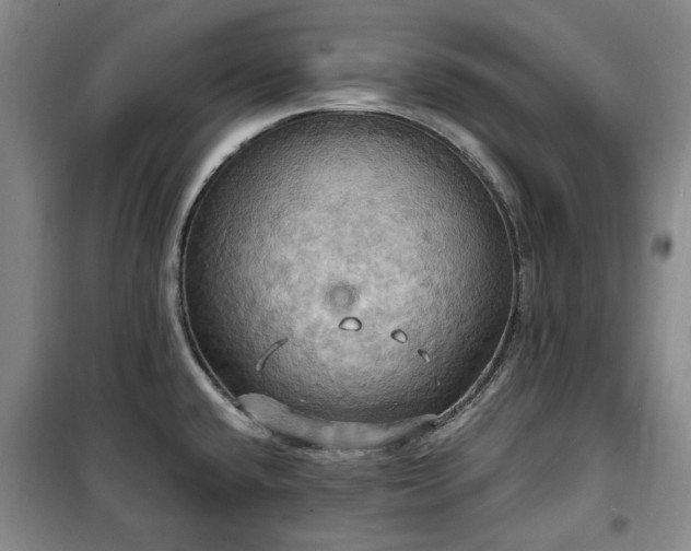 X0000100471432200806131117