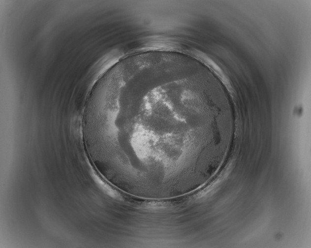 X0000100471433200806131117