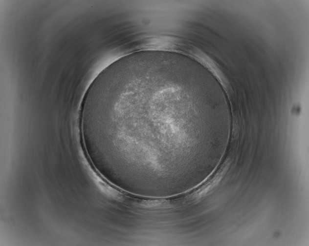 X0000100471434200806131117