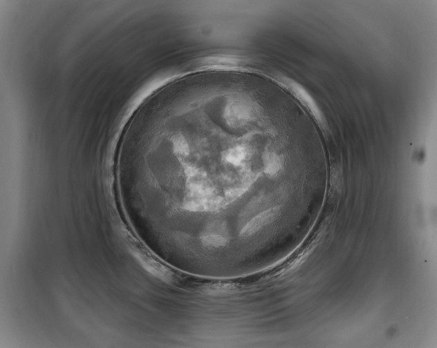 X0000100471435200806131117