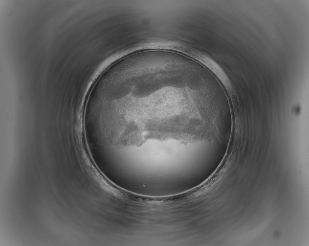 X0000100471436200806131117