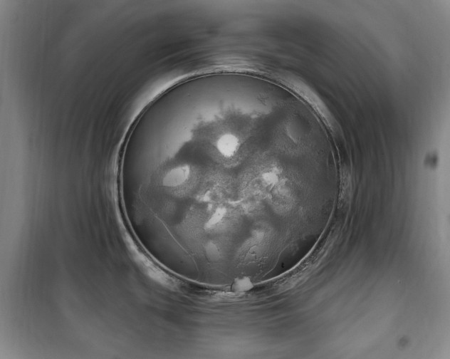 X0000100471439200806131117