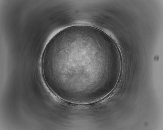 X0000100471440200806131117