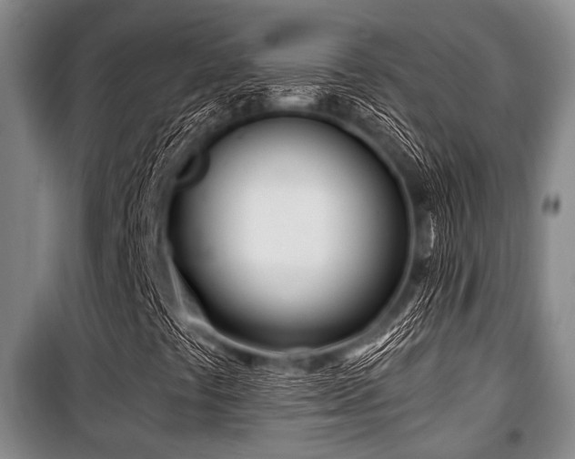 X0000100471441200806131117