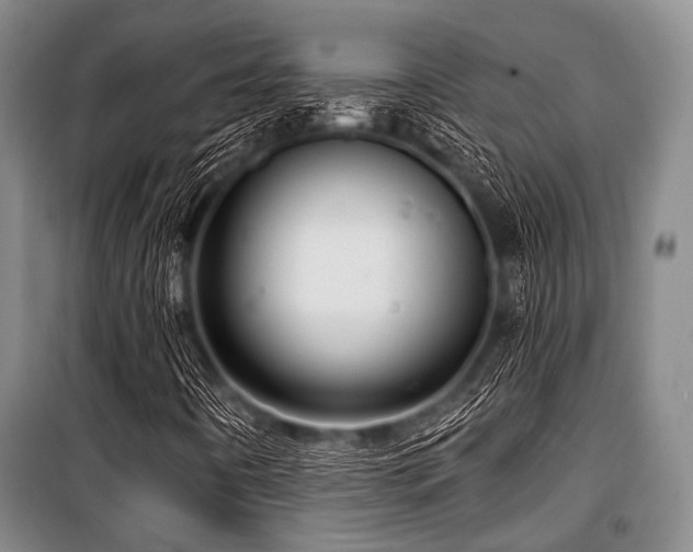 X0000100471442200806131117
