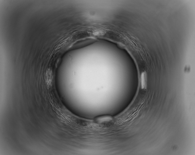 X0000100471443200806131117