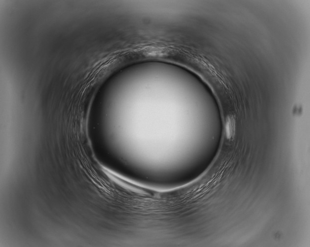 X0000100471444200806131117