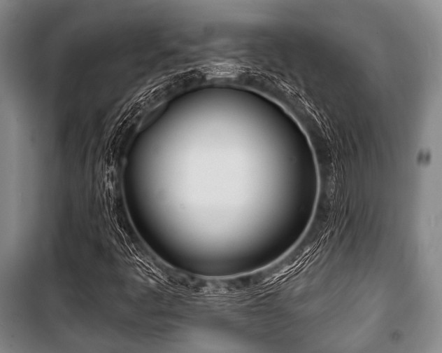 X0000100471445200806131117