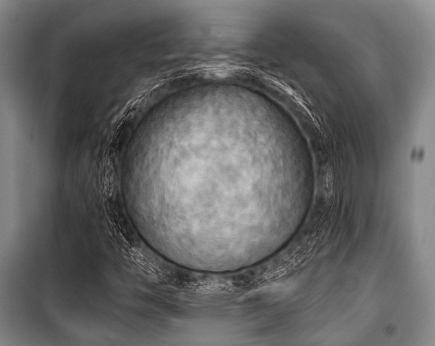 X0000100471446200806131117