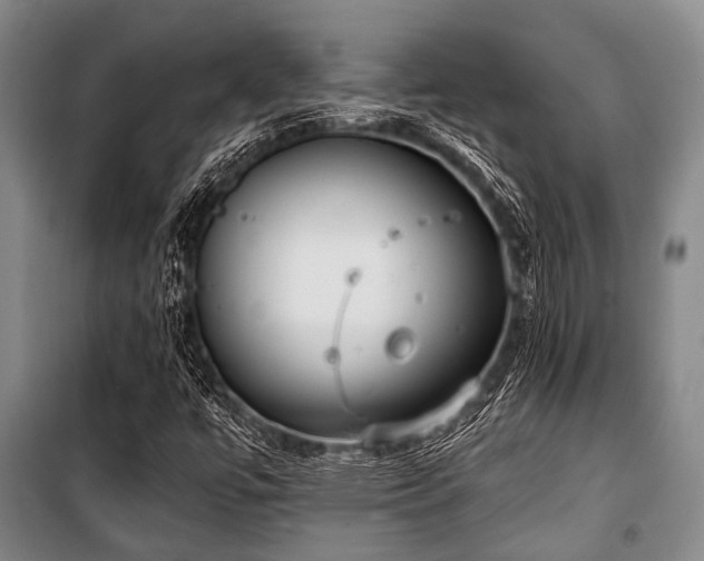 X0000100471447200806131117