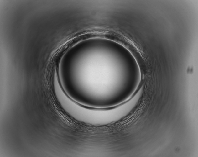 X0000100471448200806131117