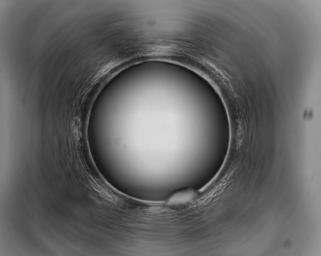 X0000100471449200806131117