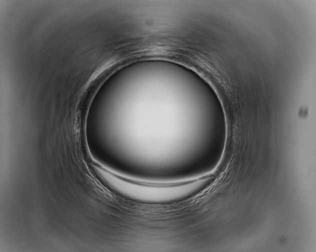 X0000100471450200806131117