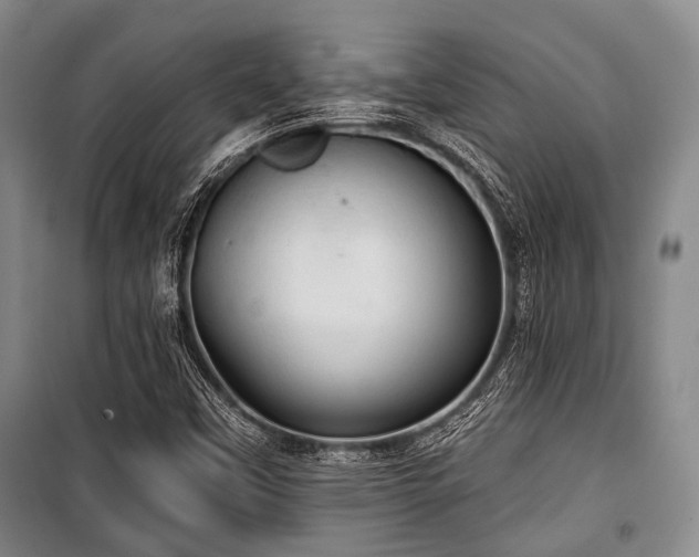 X0000100471451200806131117