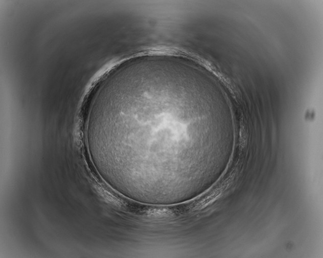 X0000100471454200806131117