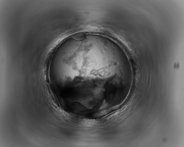 X0000100471455200806131117