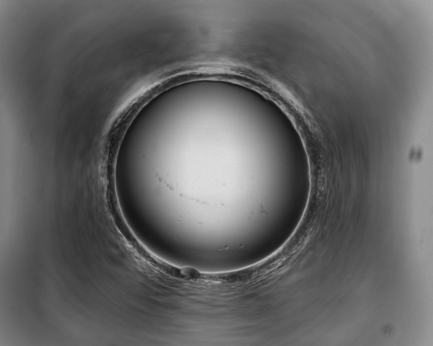 X0000100471456200806131117