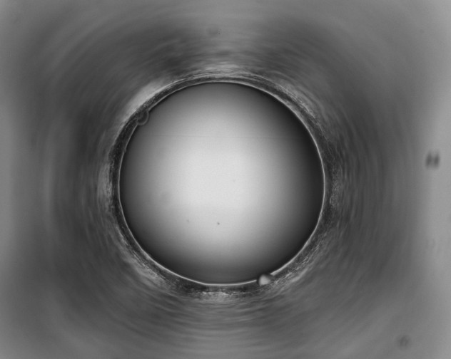 X0000100471458200806131117