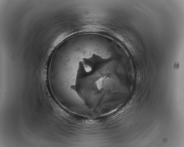 X0000100471459200806131117