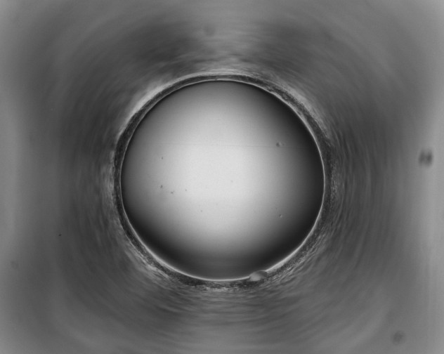 X0000100471460200806131117