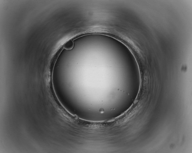 X0000100471461200806131117