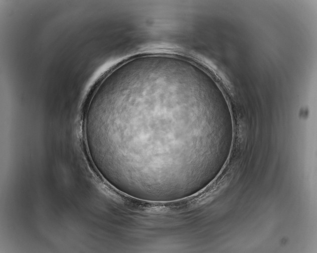 X0000100471462200806131117