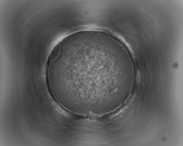 X0000100471463200806131116