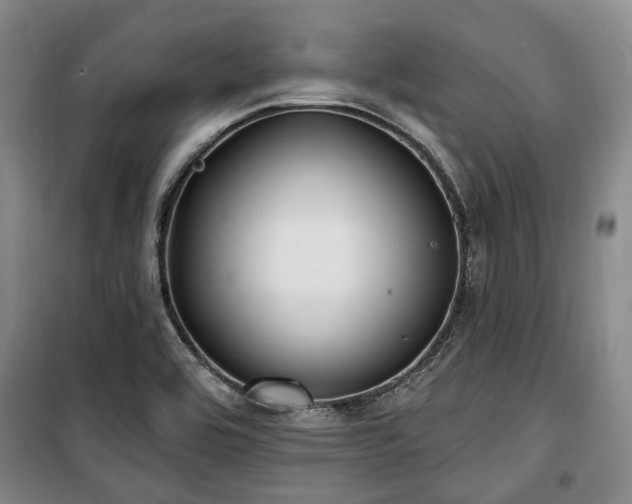 X0000100471464200806131116